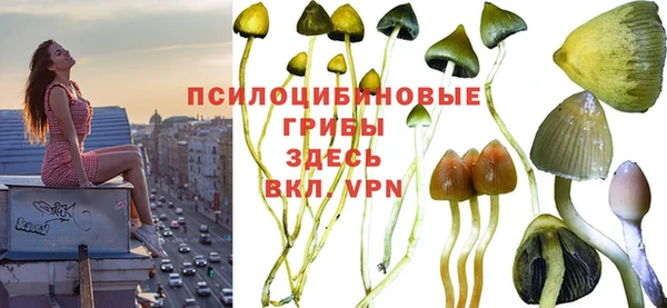 apvp Протвино
