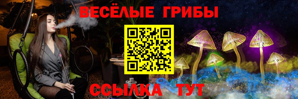 Галлюциногенные грибы Psilocybe Кизилюрт