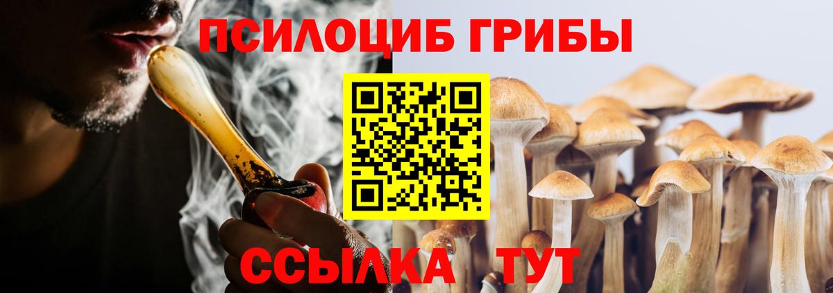 Кизилюрт  Псилоцибиновые грибы мицелий  Вход с VPN 